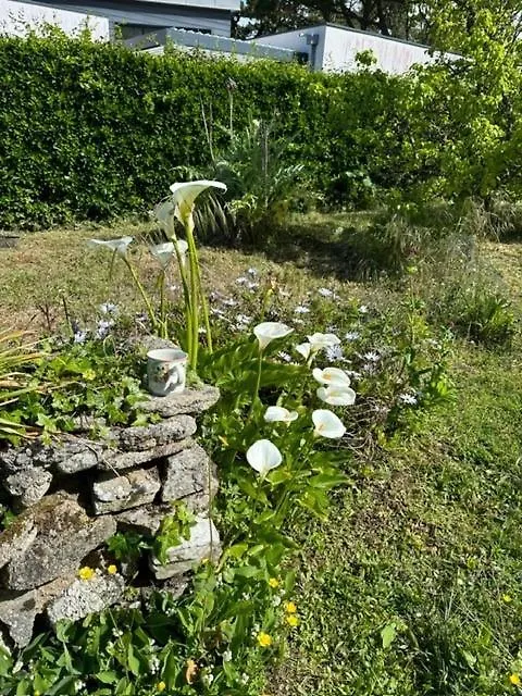 Maison Vintage En Bord De Mer Loctudy França